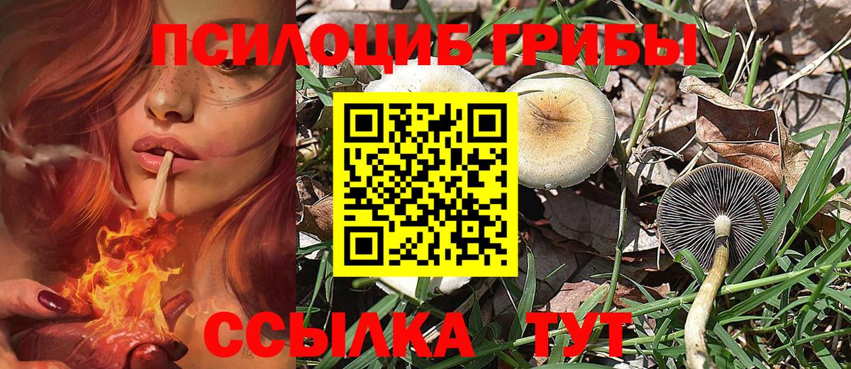 Трёхгорный  Галлюциногенные грибы MAGIC MUSHROOMS  Вход с VPN 