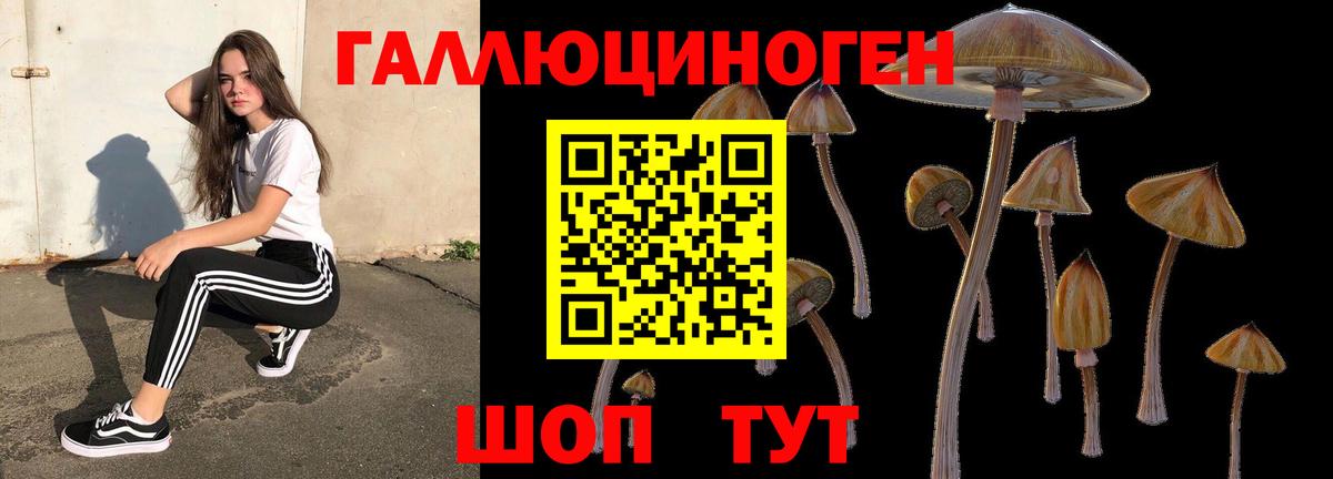 Псилоцибиновые грибы прущие грибы Трёхгорный